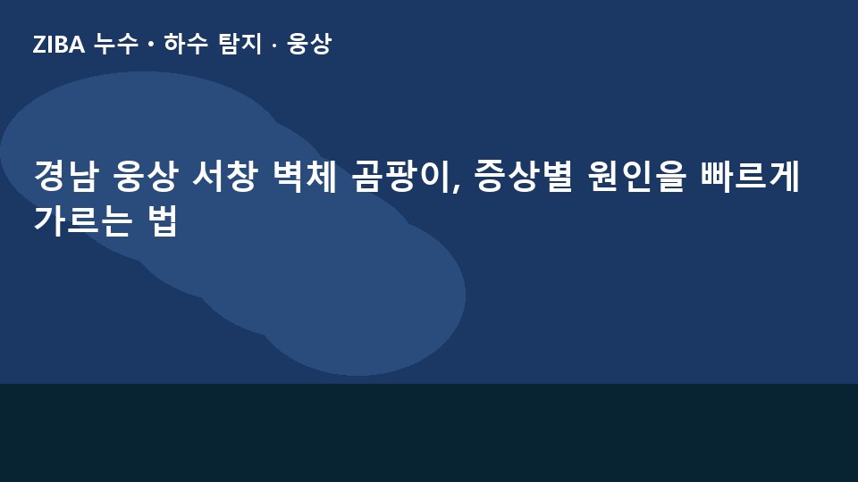 경남 웅상 서창 벽체 곰팡이, 증상별 원인을 빠르게 가르는 법